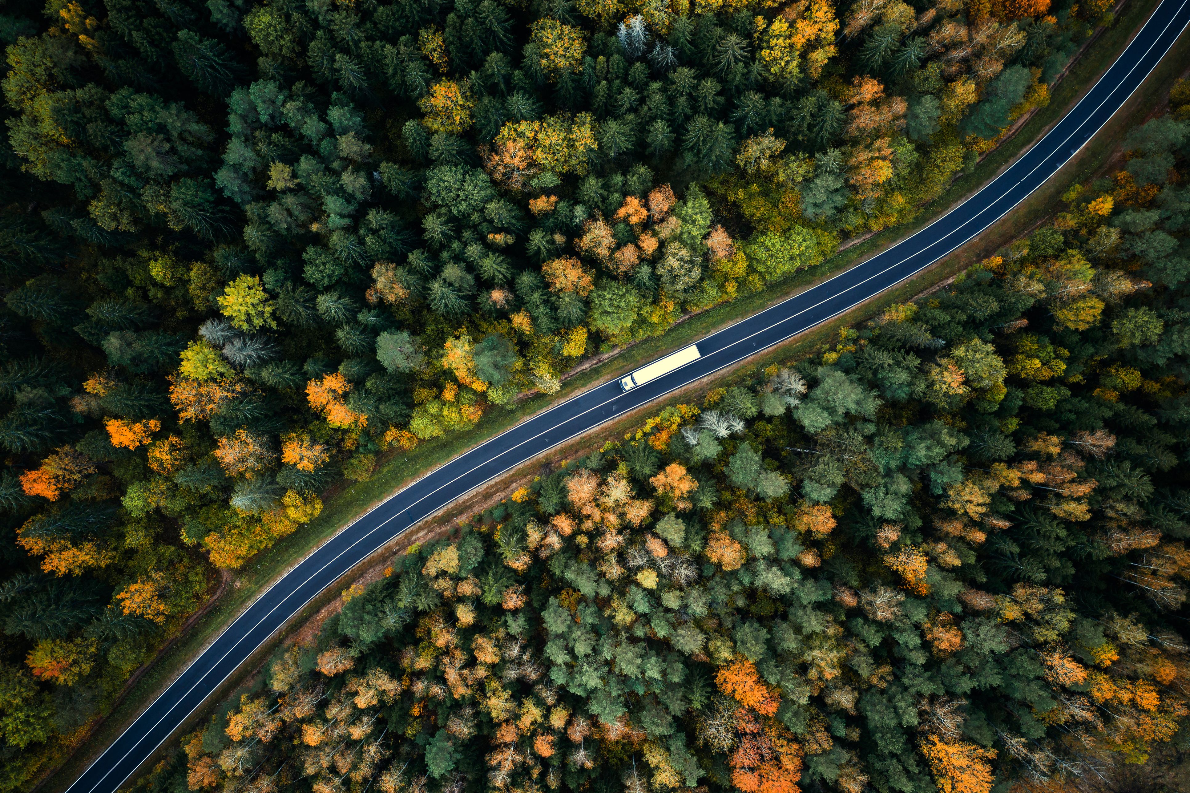 stock_aerial_shot_of_truck_on_forest_road.jpg